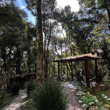 Refugio Familiar Em Monte Verde Monte Verde  Exteriér fotografie